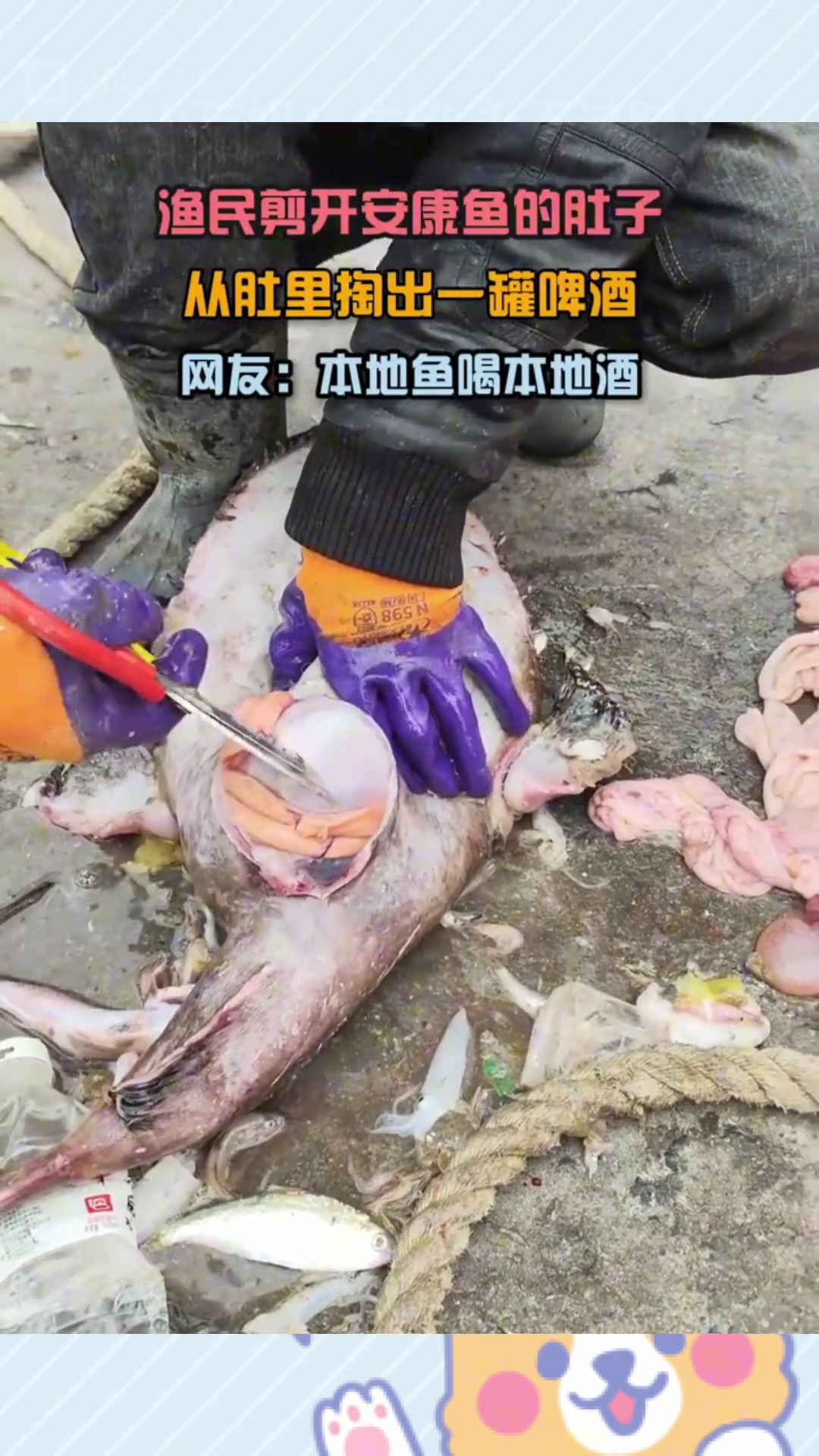 渔民剪开鱼的肚子，从肚里掏出一罐啤酒