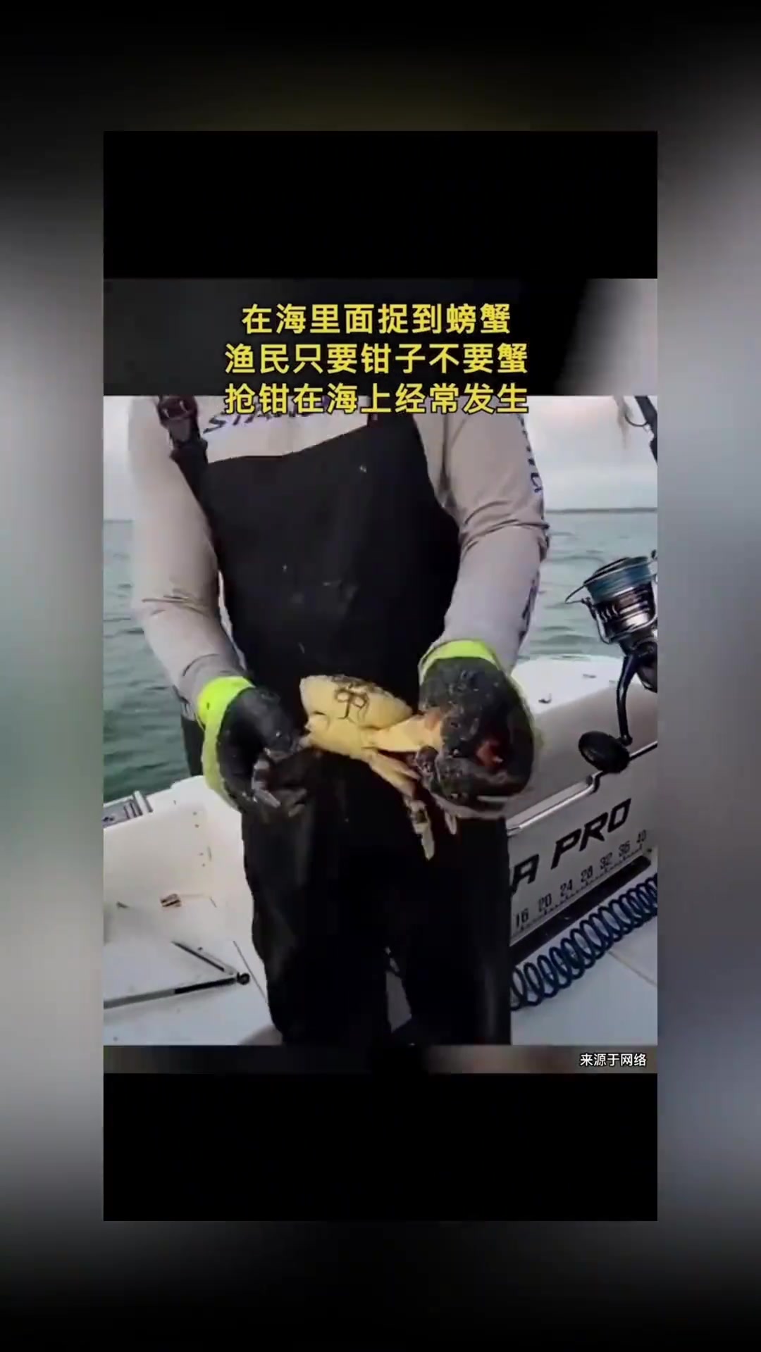 在海里面捉到螃蟹，渔民只要钳子不要蟹