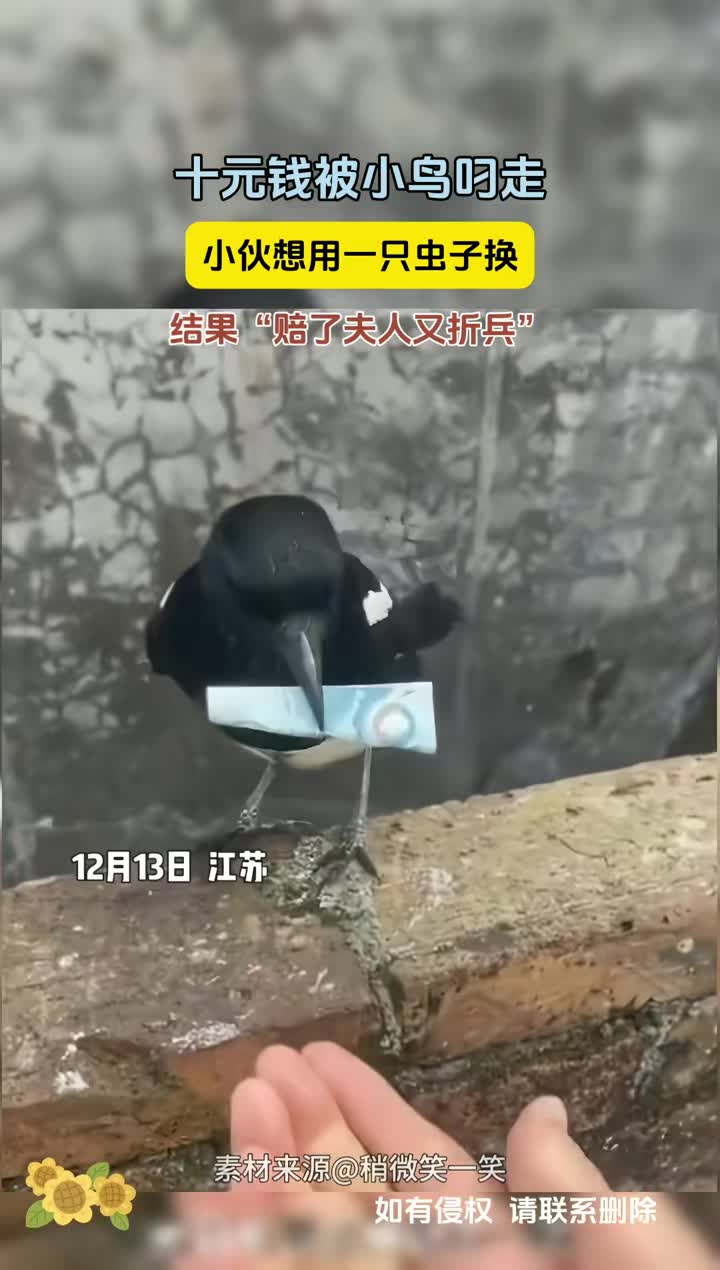 这速度是真的快啊
