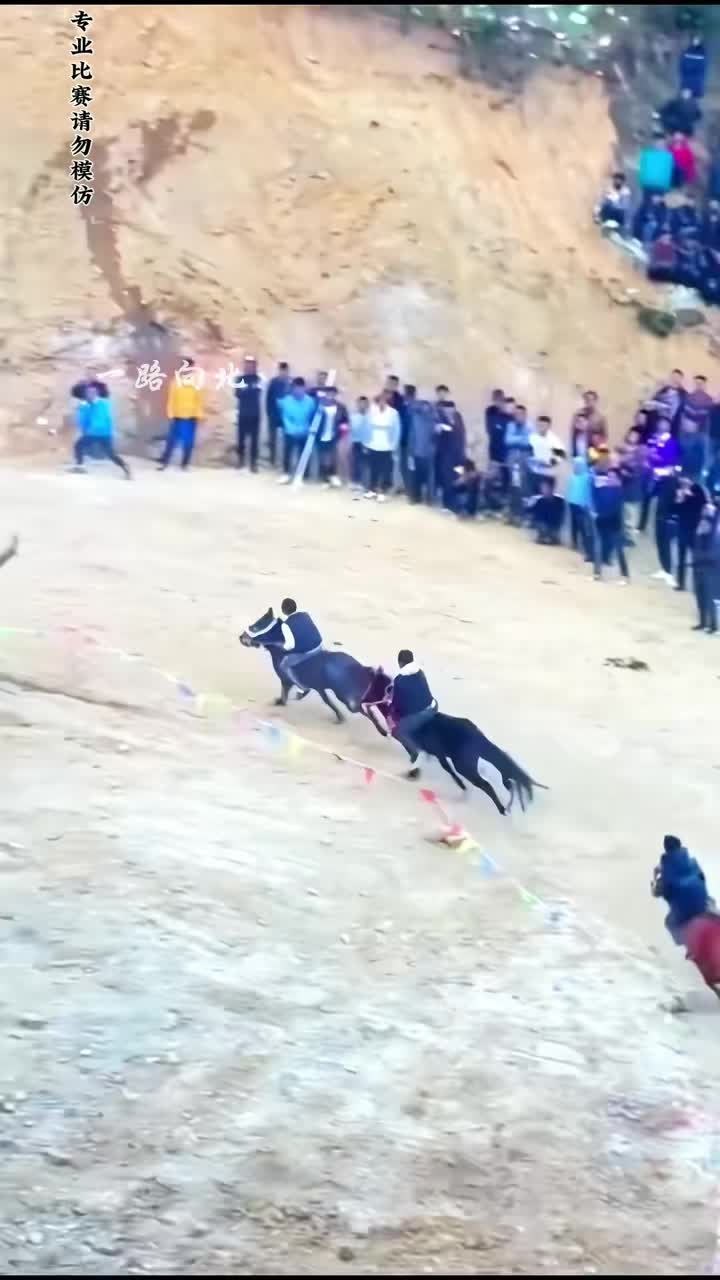 蒙古人天生会骑马，新疆人天生会跳舞，你们那天生会什么