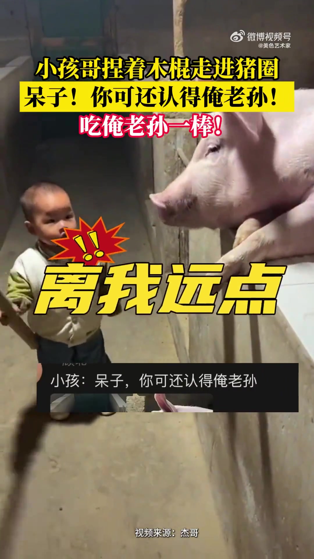 小孩哥捏木棍进猪圈喊“呆子！吃俺老孙一棒！”