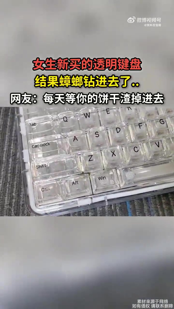 女生新买的透明键盘，结果蟑螂钻进去了