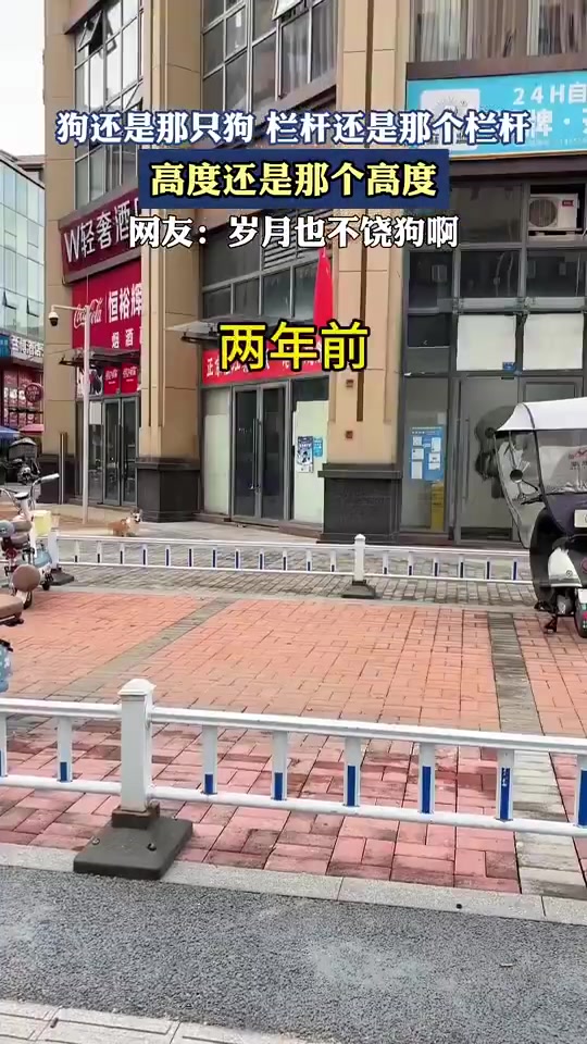 狗还是那只狗，栏杆还是那个栏杆，高度还是那个高度
