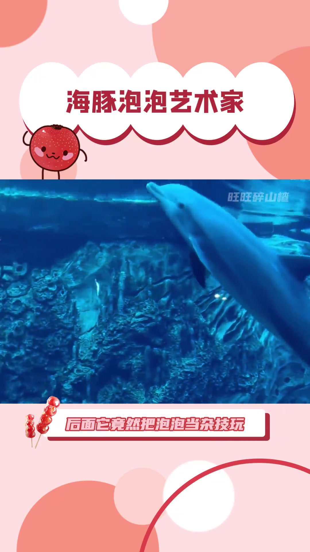 拒绝参与表演，但动物们却坚持要上台！