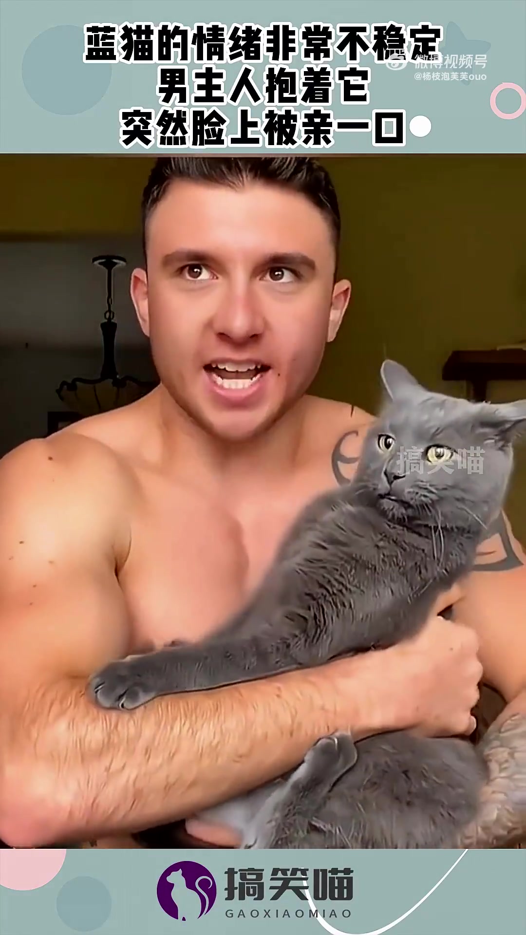 蓝猫的情绪非常不稳定，男主人抱着它，突然脸上被亲一口！