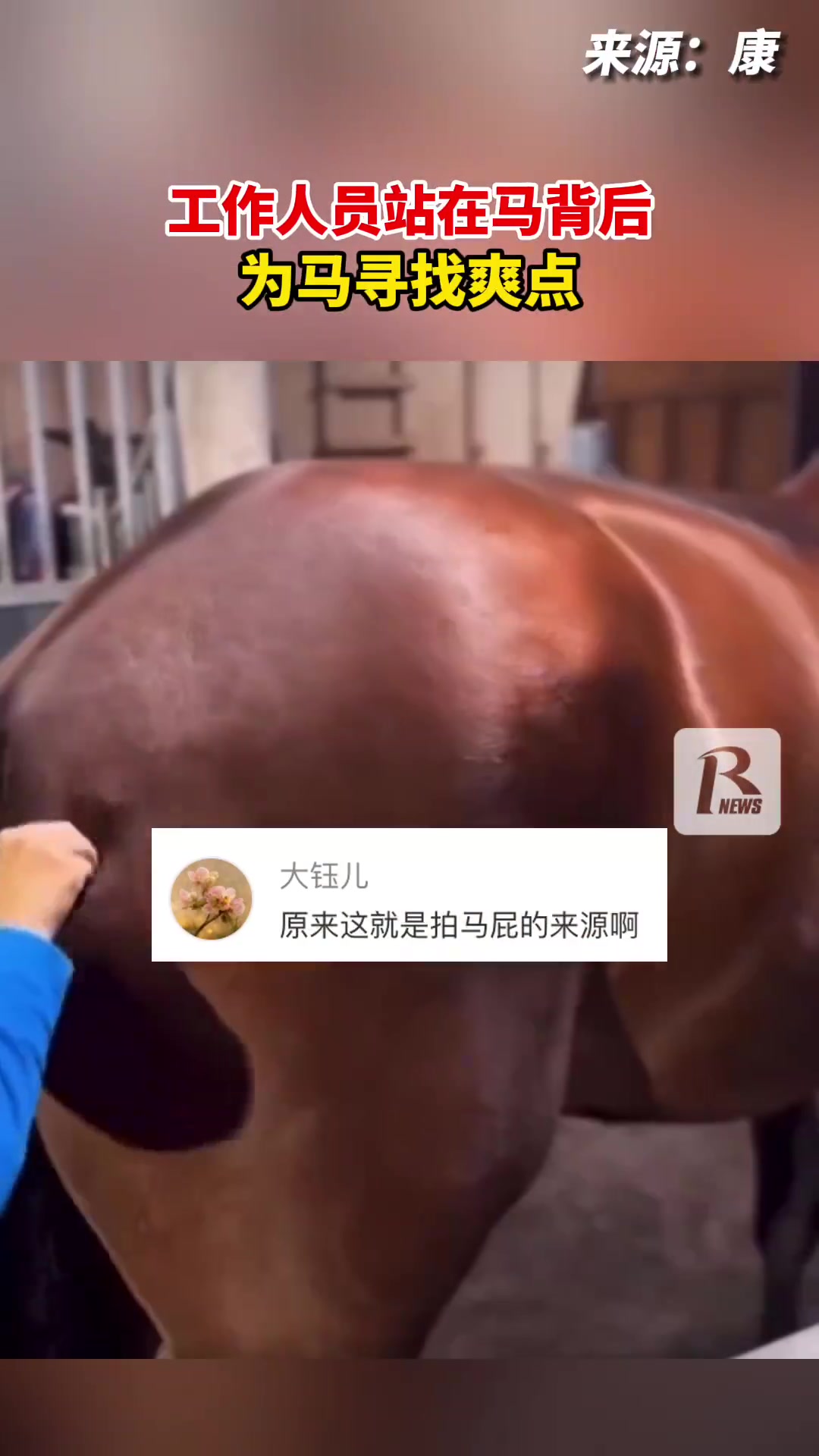 工作人员站在马背后，为马寻找爽点原来这就是拍马屁的由来！