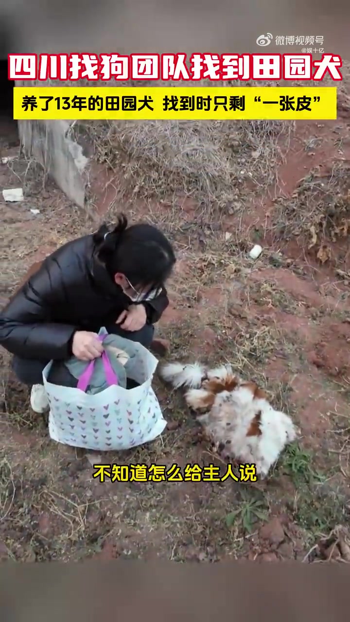 狗狗被生生活剥！只剩皮囊和头颅！