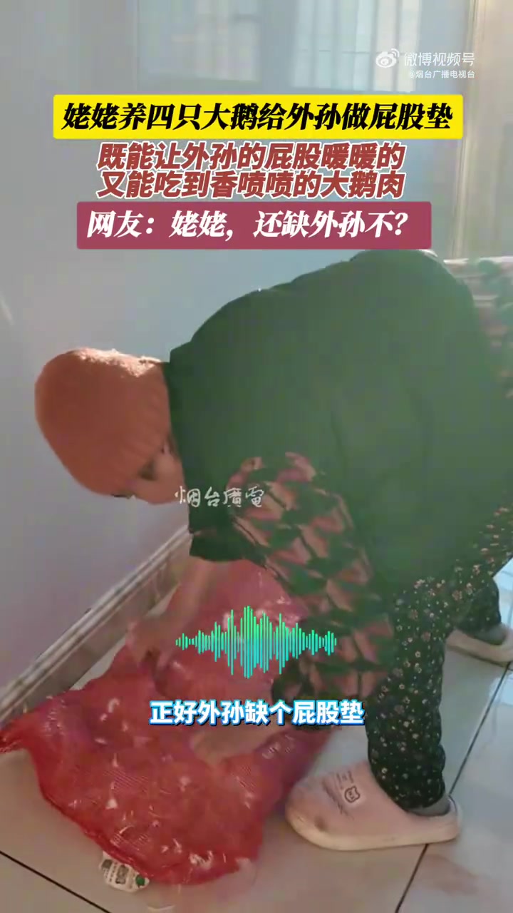 姥姥养四只大鹅给外孙做屁股垫