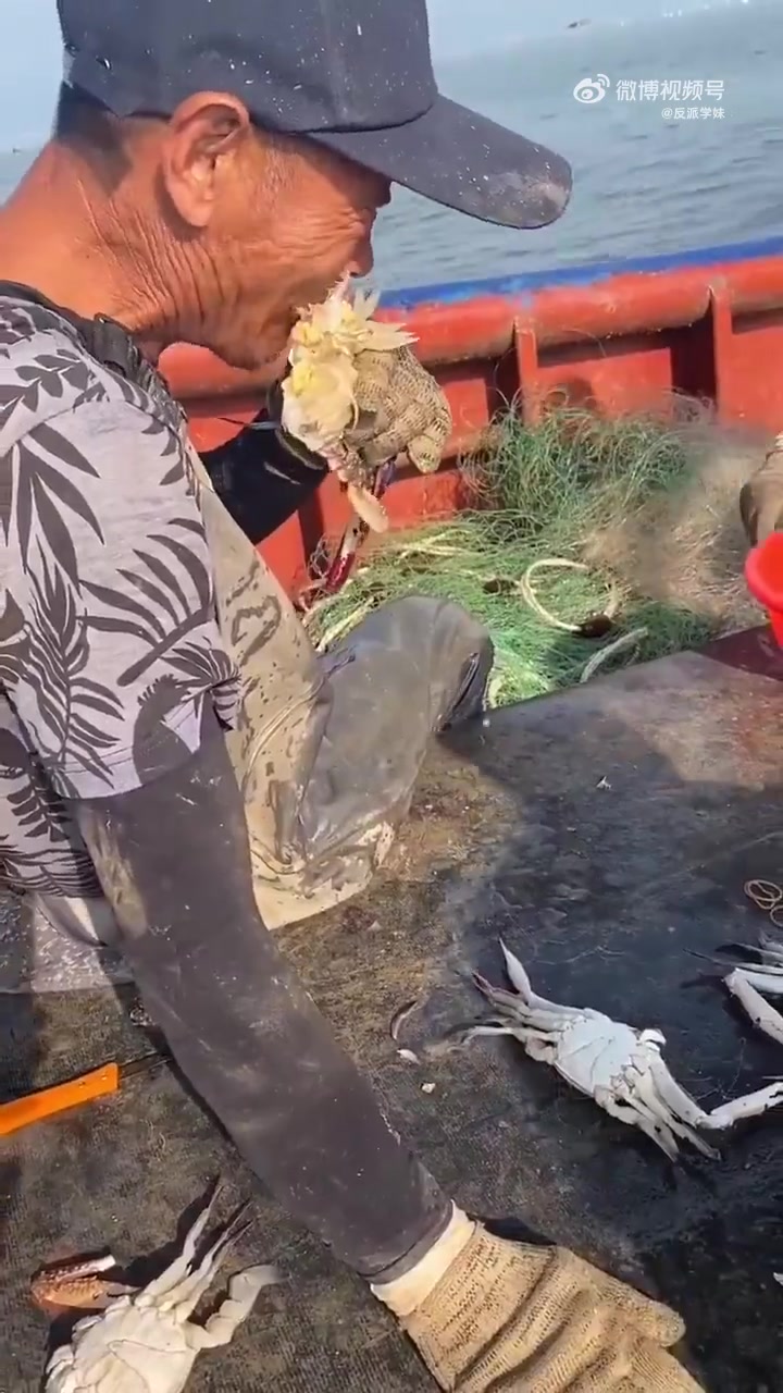 渔民大哥们吃的这种应该比在餐厅吃的好