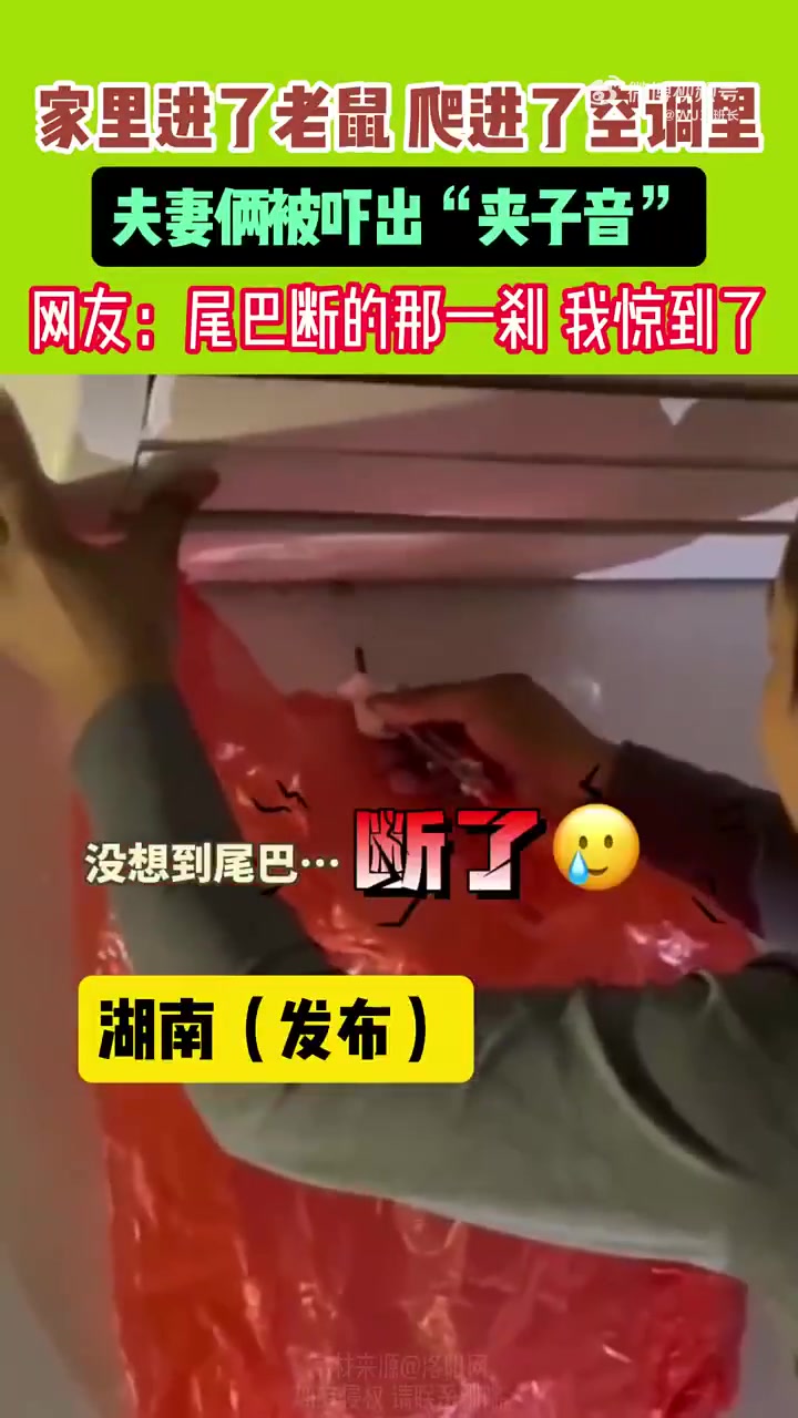 家里进老鼠爬进空调，夫妻俩被吓出“夹子音”