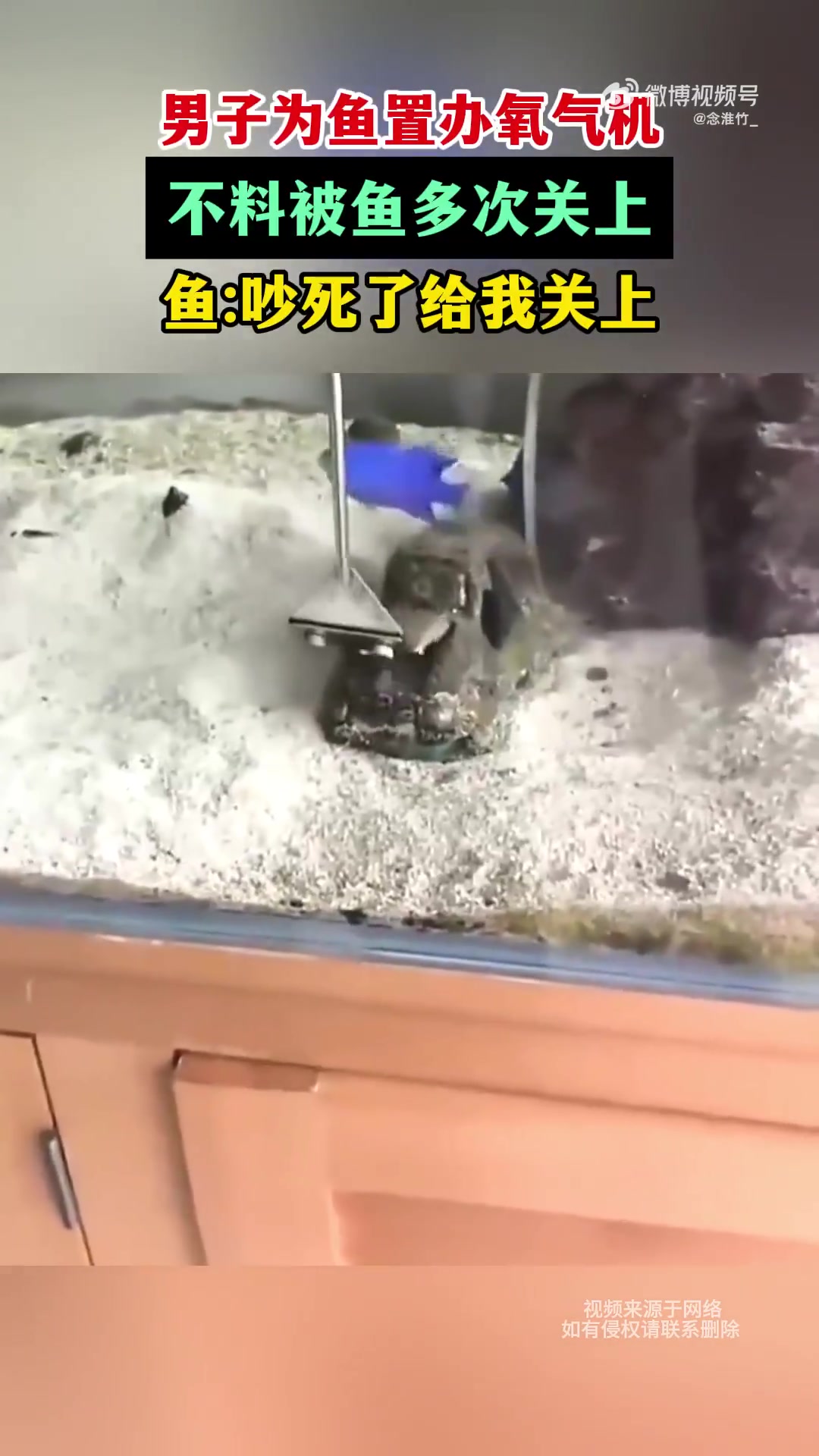 男子为鱼置氧气机，鱼多次关上，鱼：吵死了给我关上！