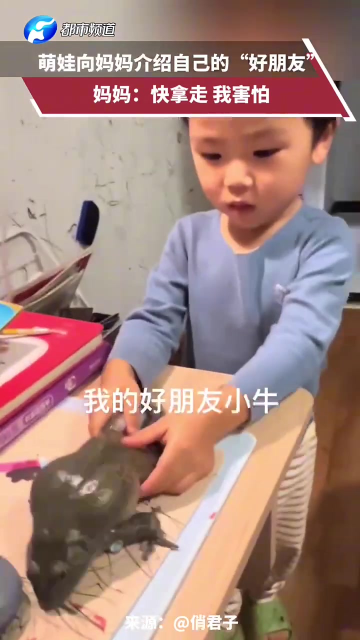 萌娃向妈妈介绍自己的“好朋友”，妈妈：快拿走，我害怕