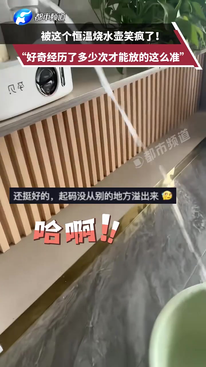被这个恒温烧水壶笑疯了！“好奇经历了多少次才能放的这么准”