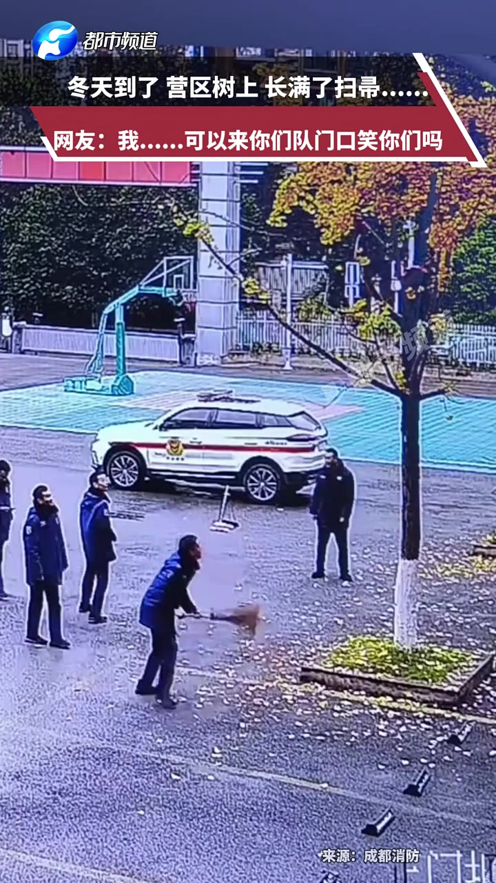 冬天到了，消防队的营区树上，长满了扫帚.....