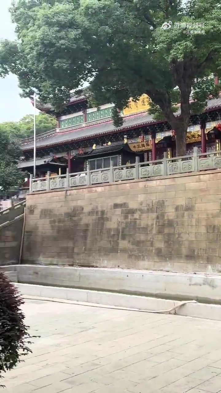 大师七情六欲可放下，唯有游戏难以割舍