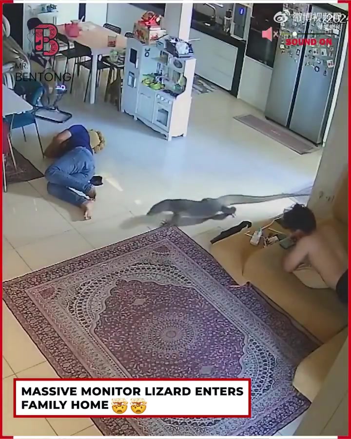 哥们儿，现在知道养条狗有多重要了吧
