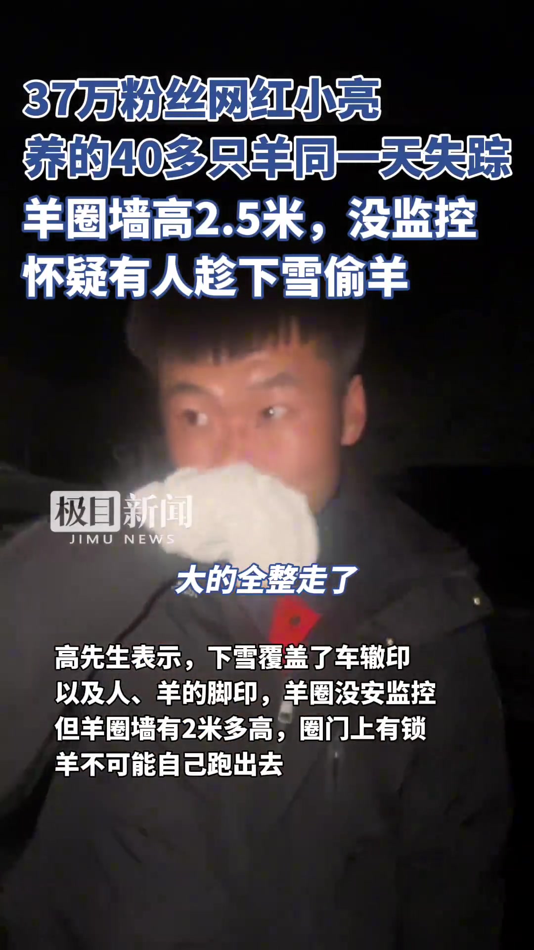怀疑有人雪夜到羊圈偷盗！羊全都不见了