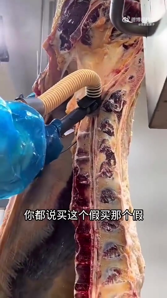 牛骨髓值钱吗
