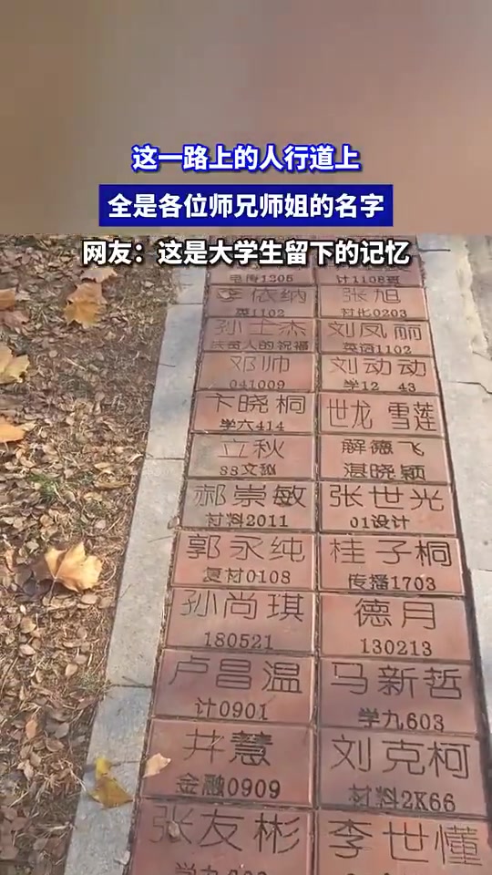 这一路上的人行道上，全是各位师兄师姐的名字，网友：这是大学生