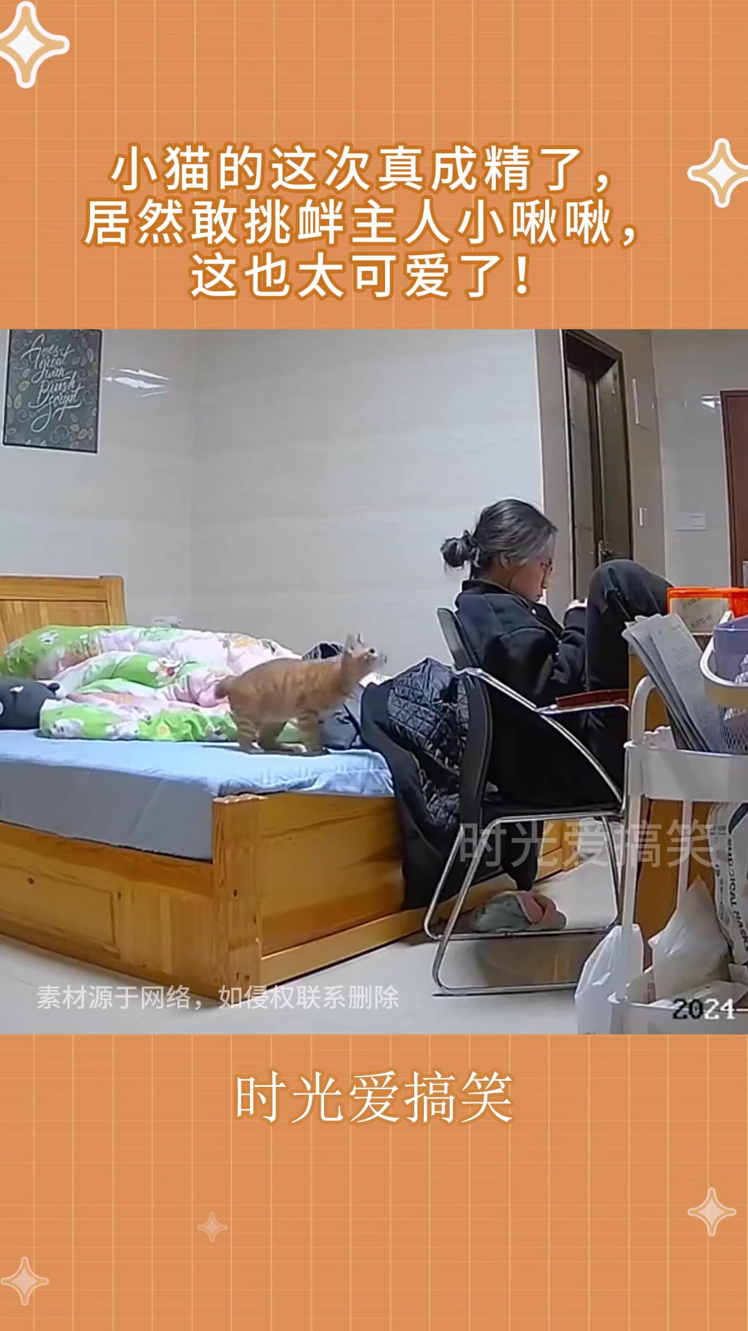 搞搞小啾啾！小猫的这次真成精了，居然敢挑衅主人！