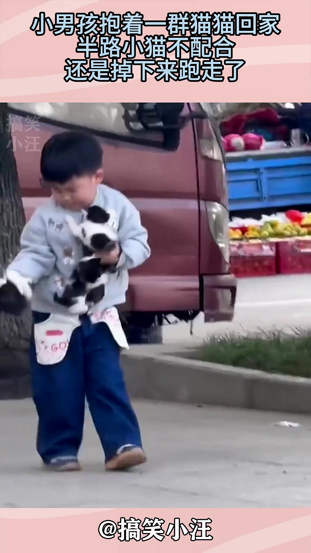 小男孩抱着一群猫猫回家，半路小猫不配合，还是掉下来跑走了！！