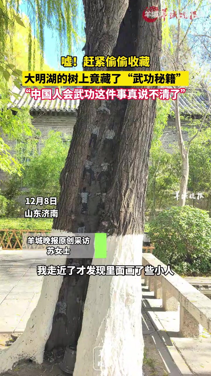 大明湖的树上竟藏了武功秘籍，“中国人会武功这件事真说不清了”