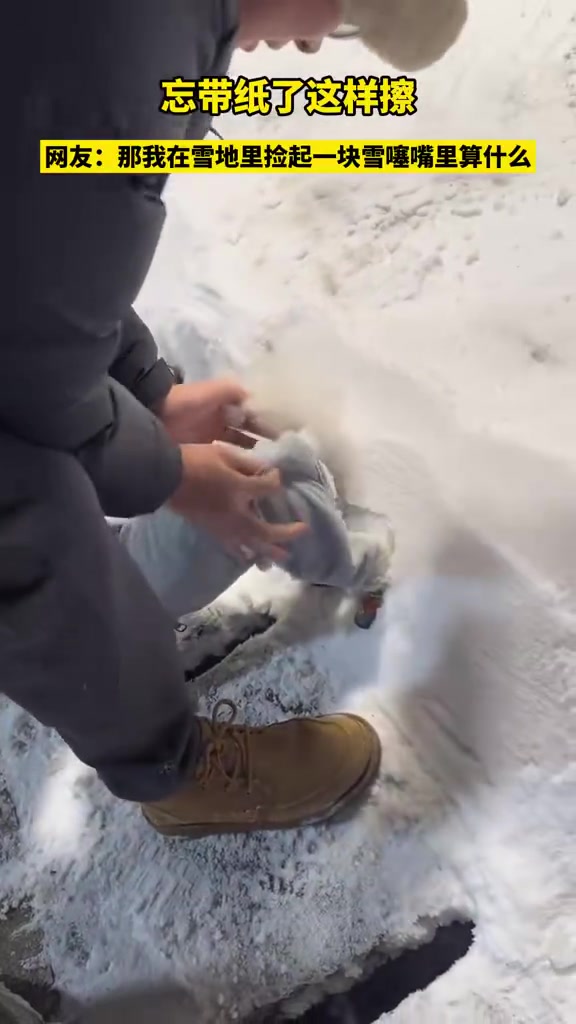 雪天狗子上厕所忘带纸了怎么办