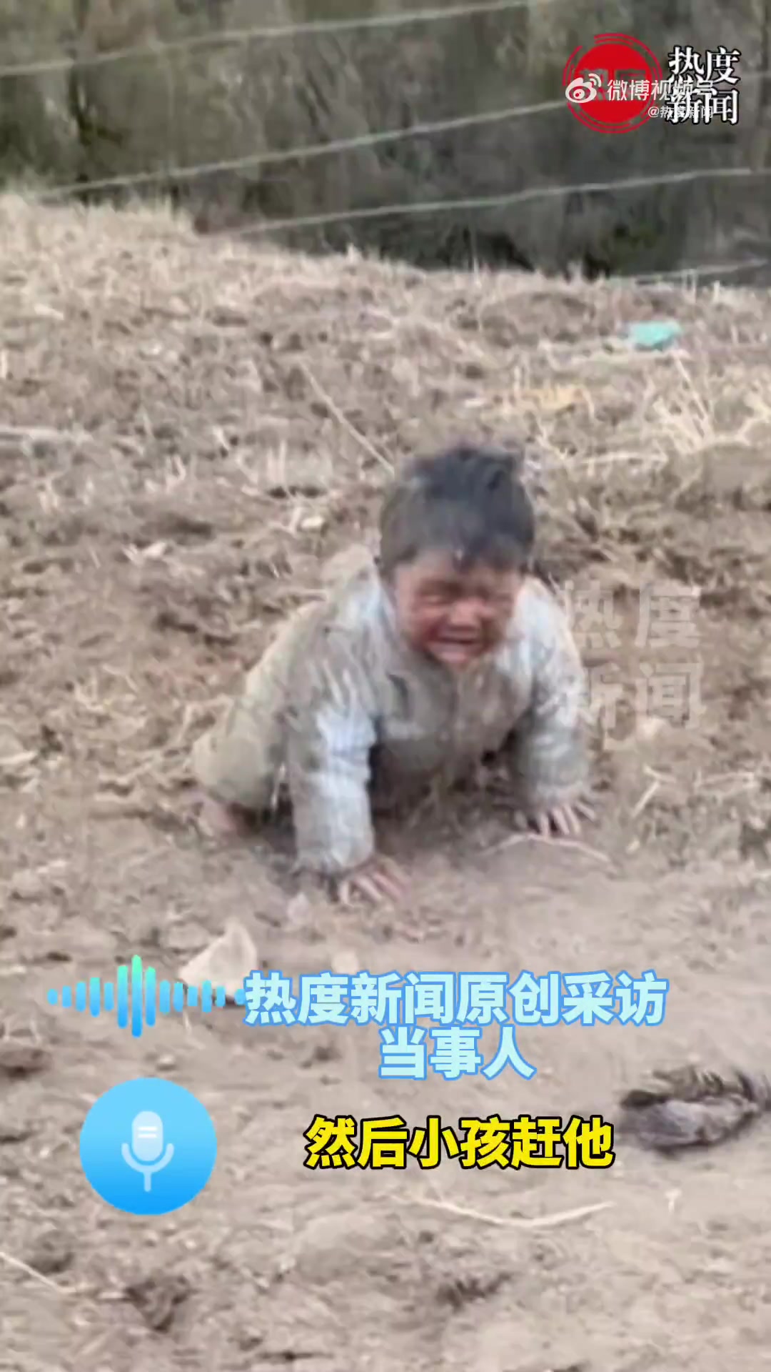 两岁宝宝被牛顶翻气到用石头砸牛