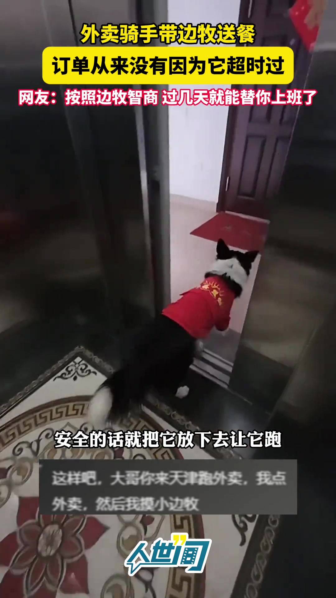 外卖骑手带边牧送餐，网友：按照边牧智商，过几天就能替你上班了