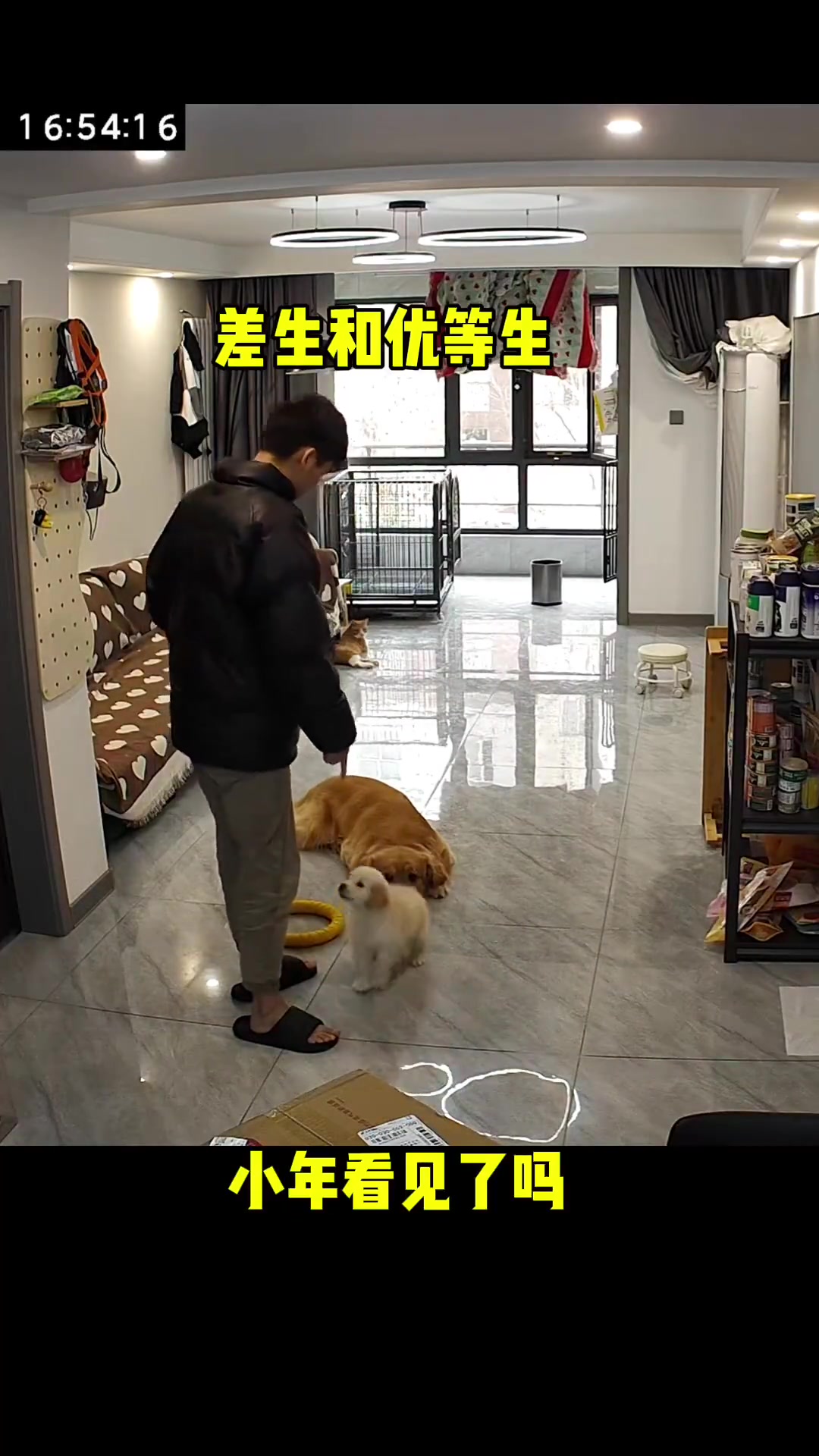 优等生与差生的差距确实显著