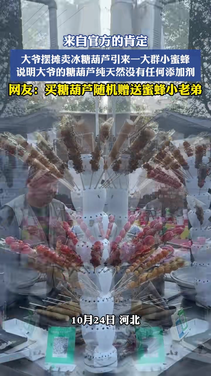 大爷摆摊卖冰糖葫芦引来一大群小蜜蝉