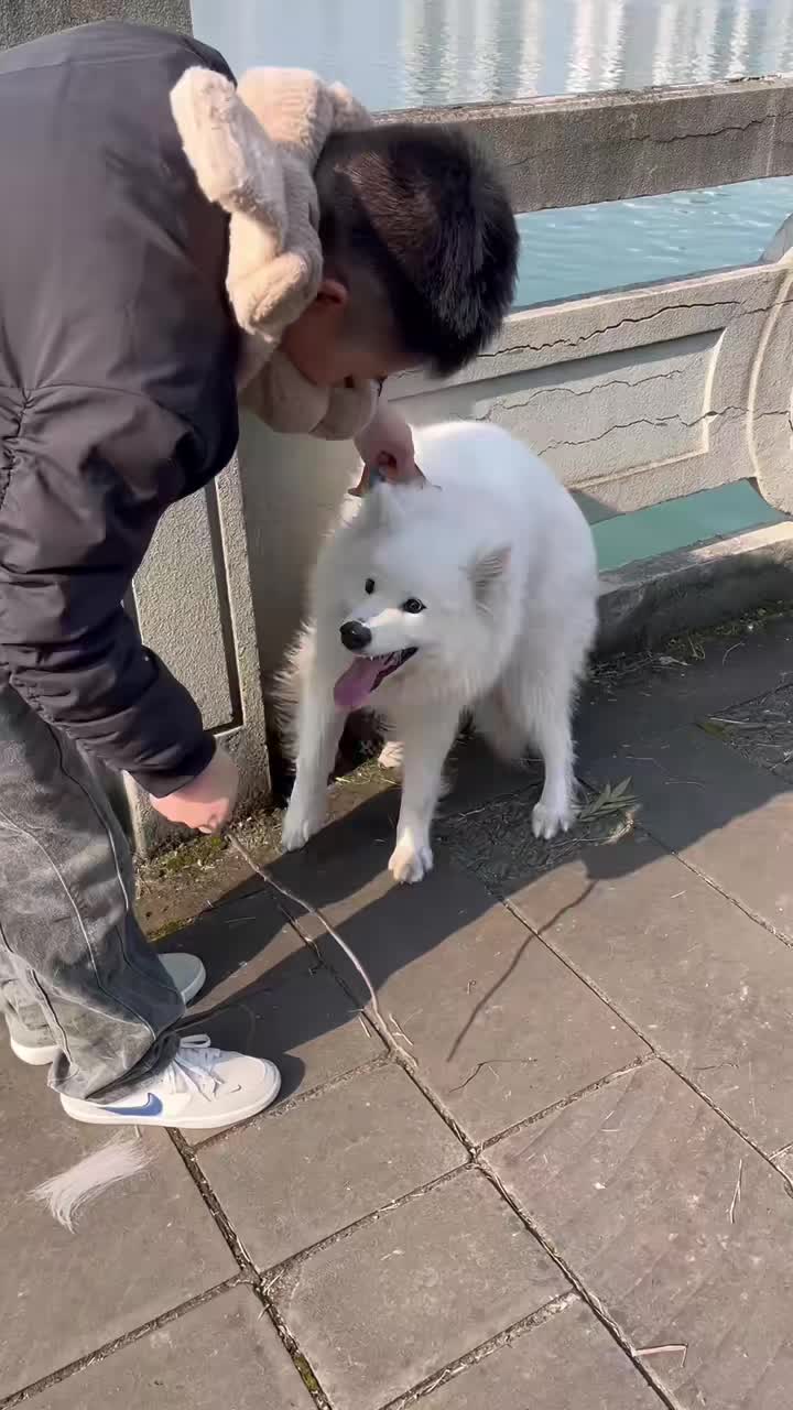 一下没打上，一声也没落下！