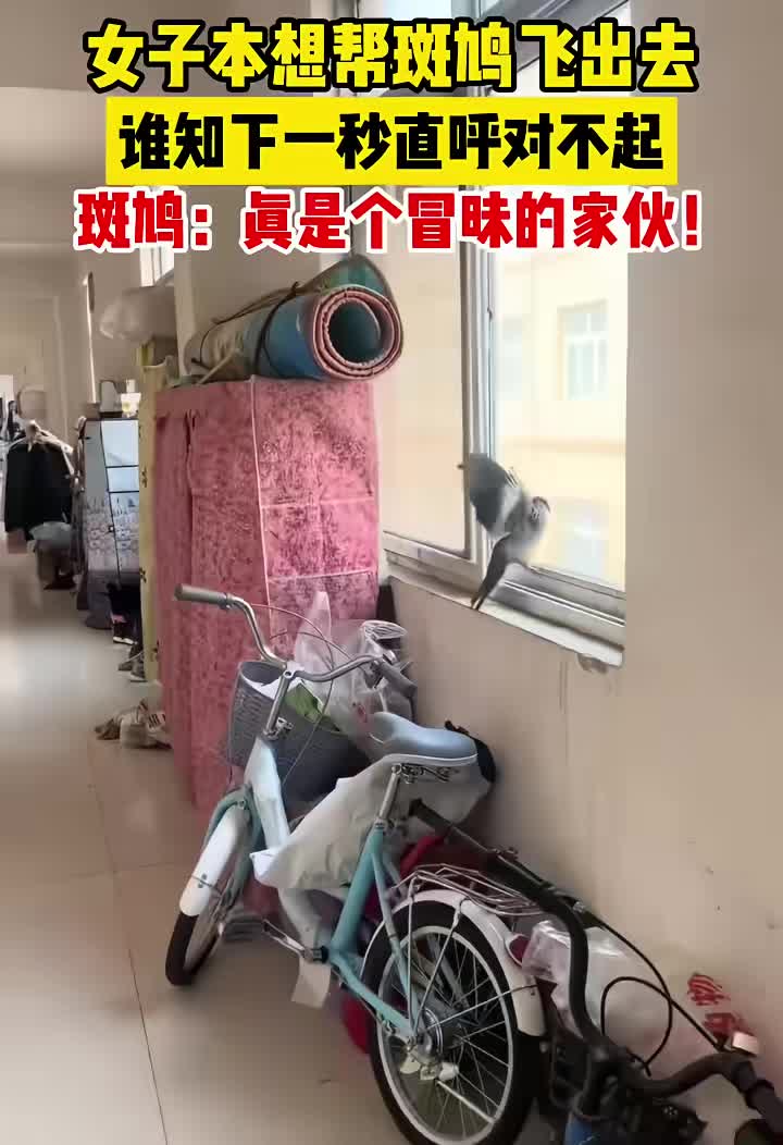 没有尾巴，还飞得起来吗