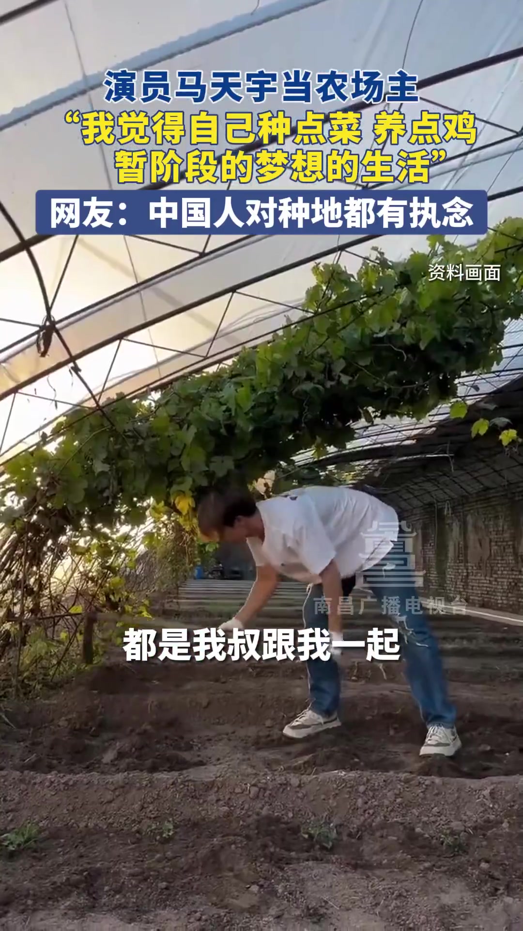 演员马天宇当农场主