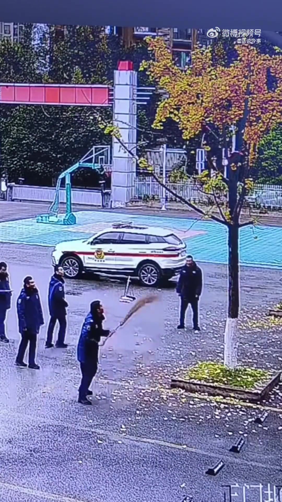 冬天到了，营区的树上，长满了扫帚