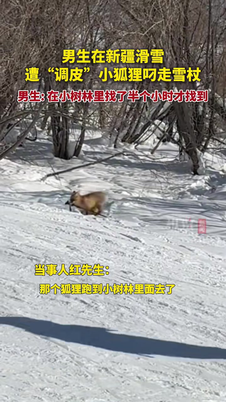 小狐狸：大王，来追我呀！