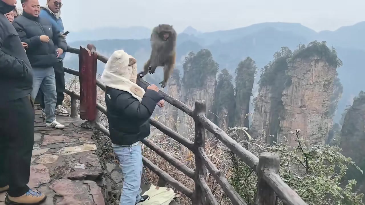 终于看到一个敢还击的人了！！