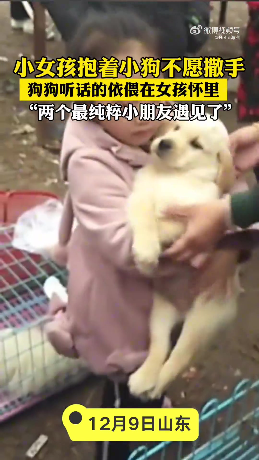 “两个最纯粹小朋友遇见了”