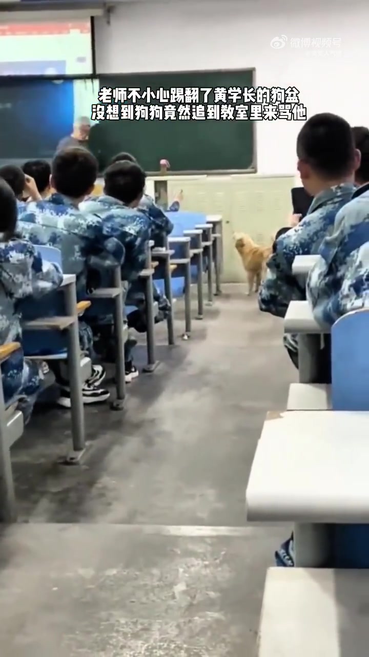 狗子：大家都来看哦，这就是为人师表哈哈哈