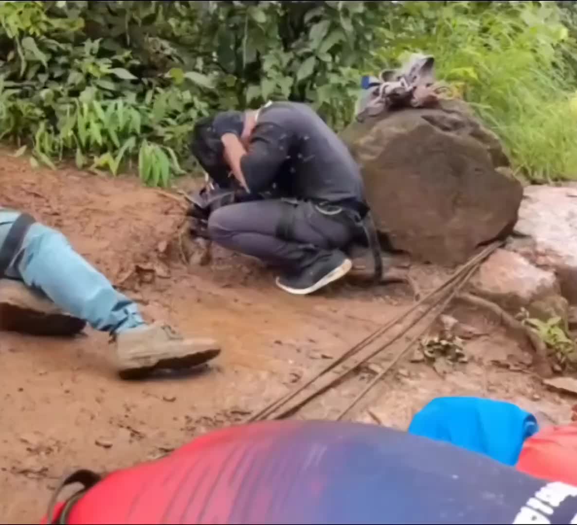 遇到这种情况不要跑，跑一群追着你，趴着不动很快就回巢了！