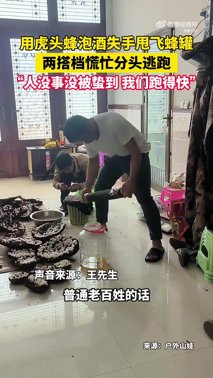 用虎头蜂泡酒失手甩飞蜂罐，两搭档慌忙分头逃