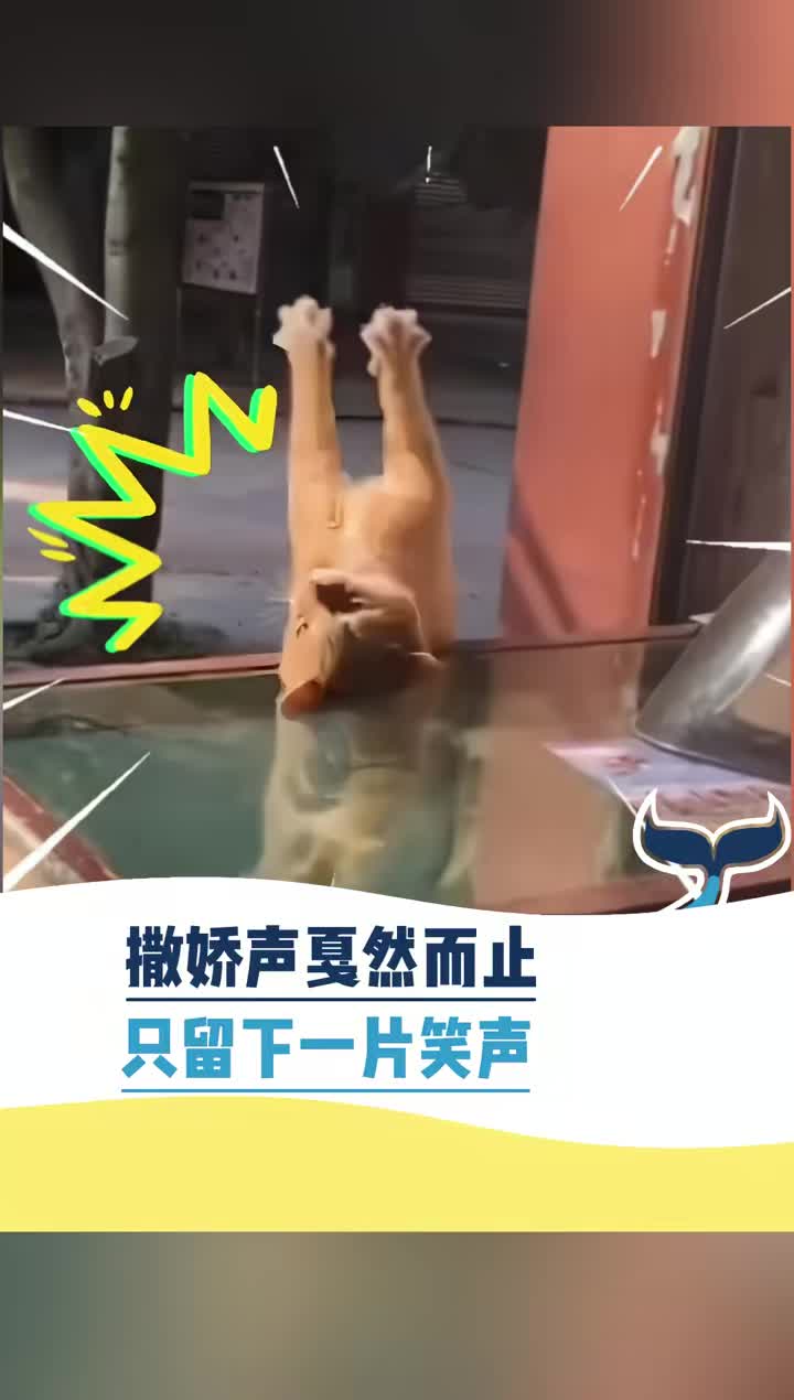撒娇声戛然而止，只留下一片笑声！