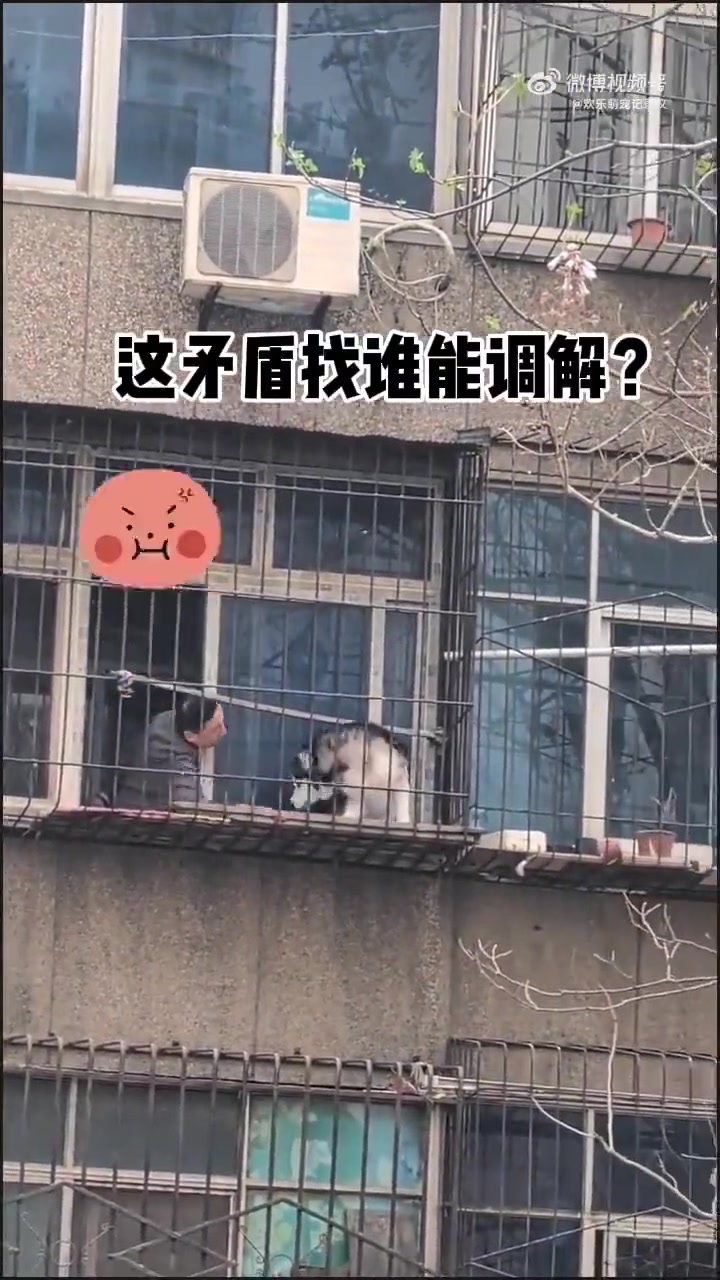 能把哈奇士气成这样的，也是没谁了