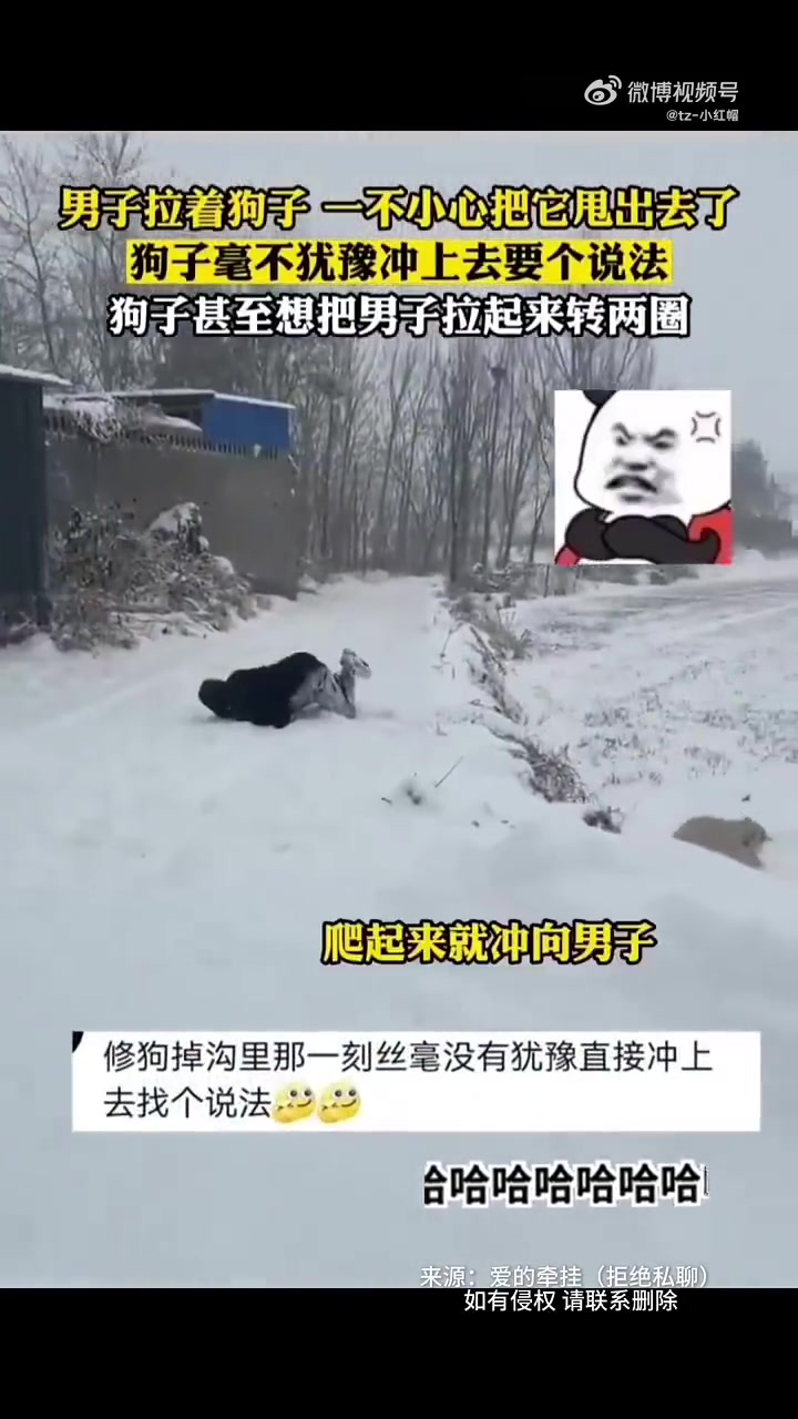 狗：菜！甚至毫不犹豫冲上前要个说法！