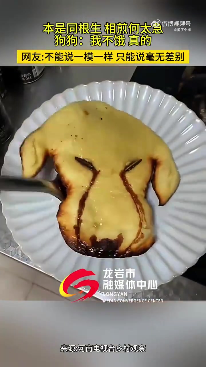 本是同根生相煎何太急，狗狗：你看我饿了吗