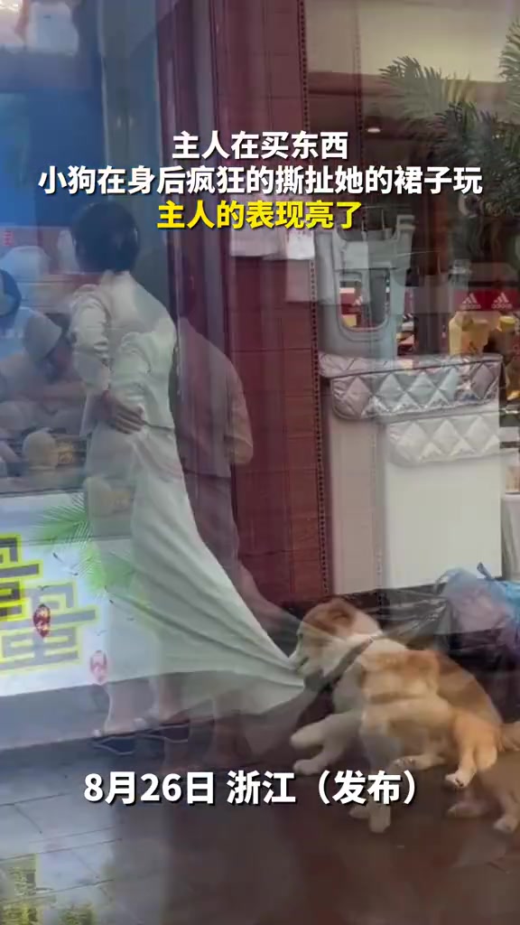 主人在买东西，小狗在身后疯狂撕扯她的裙子玩，主人的表现亮了