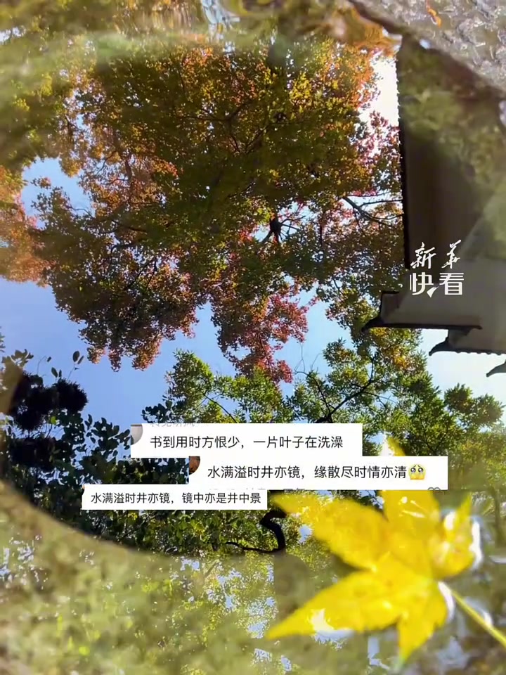 来来来！对诗啦！男子拍下美景引众多网友对诗