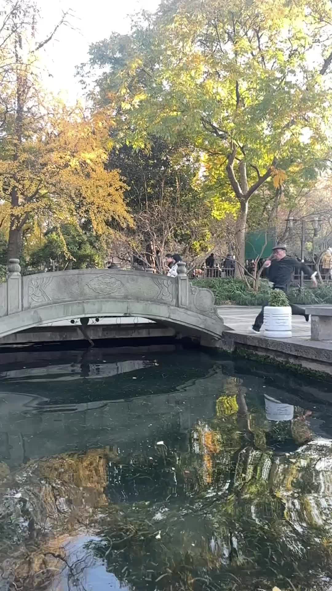 这么宽的河道，健步如飞也能一跃而过！