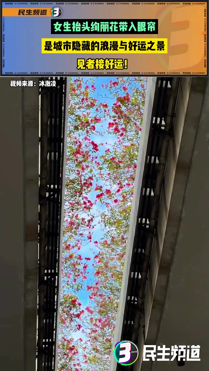 女生抬头绚丽花带入眼帘，是城市隐藏的浪漫与好运之景