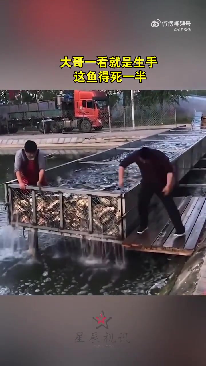 大哥一看就是生手，这鱼得死一半